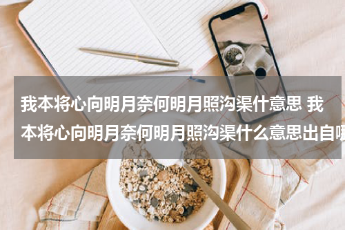 我本将心向明月奈何明月照沟渠什意思 我本将心向明月奈何明月照沟渠什么意思出自哪里