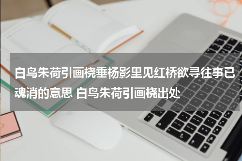 白鸟朱荷引画桡垂杨影里见红桥欲寻往事已魂消的意思 白鸟朱荷引画桡出处