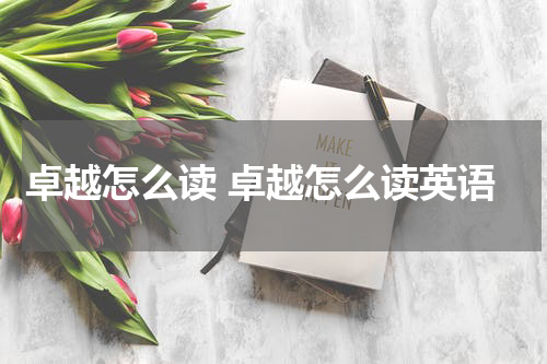 卓越怎么读 卓越怎么读英语