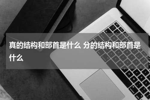 真的结构和部首是什么 分的结构和部首是什么