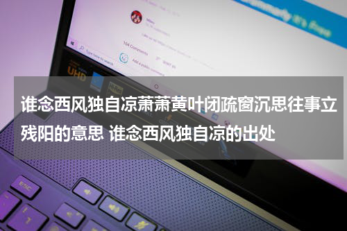 谁念西风独自凉萧萧黄叶闭疏窗沉思往事立残阳的意思 谁念西风独自凉的出处