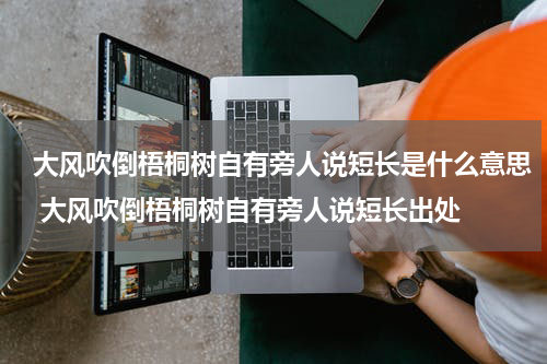 大风吹倒梧桐树自有旁人说短长是什么意思 大风吹倒梧桐树自有旁人说短长出处