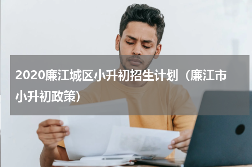 2020廉江城区小升初招生计划（廉江市小升初政策）