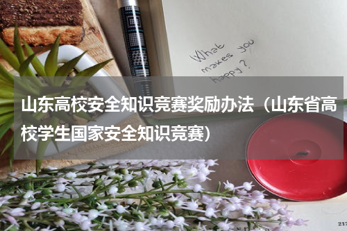 山东高校安全知识竞赛奖励办法（山东省高校学生国家安全知识竞赛）