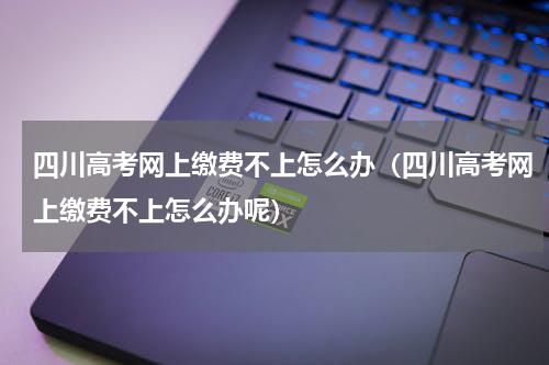 四川高考网上缴费不上怎么办（四川高考网上缴费不上怎么办呢）