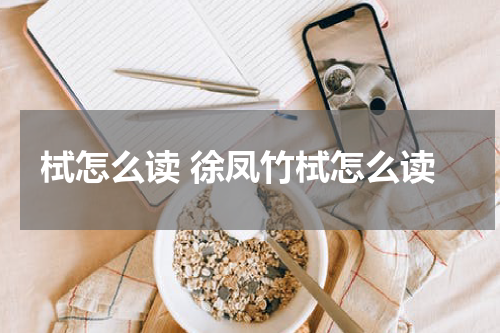 栻怎么读 徐凤竹栻怎么读