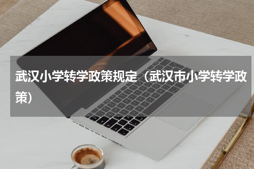 武汉小学转学政策规定（武汉市小学转学政策）