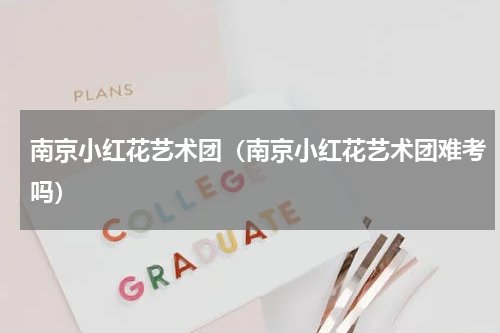 南京小红花艺术团（南京小红花艺术团难考吗）
