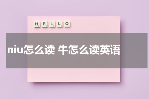 niu怎么读 牛怎么读英语
