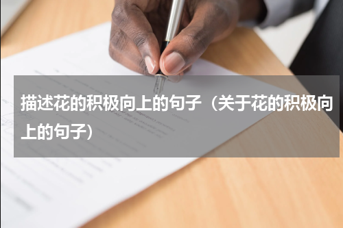描述花的积极向上的句子（关于花的积极向上的句子）