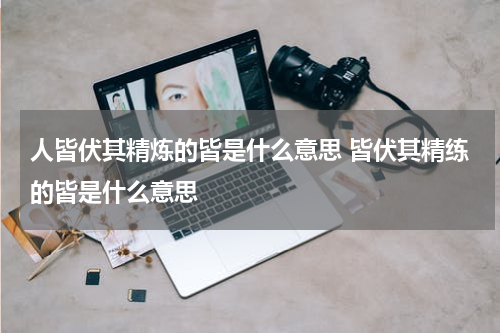 人皆伏其精炼的皆是什么意思 皆伏其精练的皆是什么意思