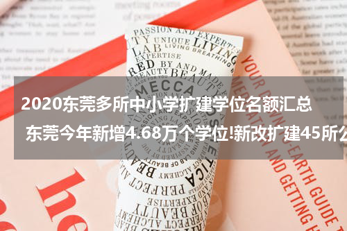 2020东莞多所中小学扩建学位名额汇总 东莞今年新增4.68万个学位!新改扩建45所公办中小学!