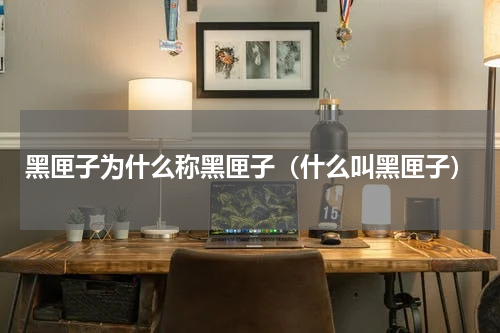 黑匣子为什么称黑匣子（什么叫黑匣子）