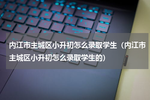 内江市主城区小升初怎么录取学生（内江市主城区小升初怎么录取学生的）