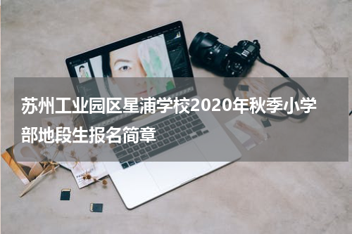 苏州工业园区星浦学校2020年秋季小学部地段生报名简章