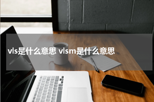 vls是什么意思 vlsm是什么意思