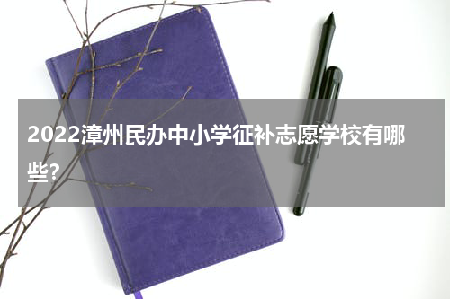 2022漳州民办中小学征补志愿学校有哪些？