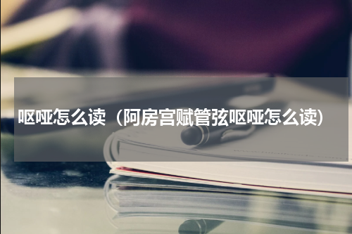 呕哑怎么读（阿房宫赋管弦呕哑怎么读）