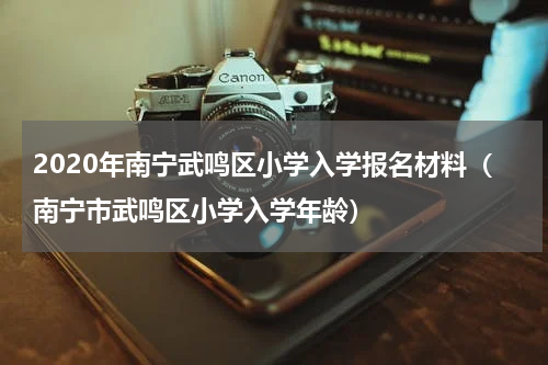2020年南宁武鸣区小学入学报名材料（南宁市武鸣区小学入学年龄）