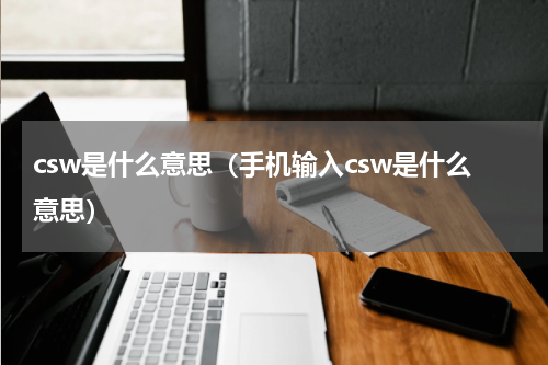 csw是什么意思（手机输入csw是什么意思）