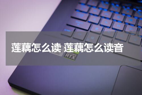 莲藕怎么读 莲藕怎么读音