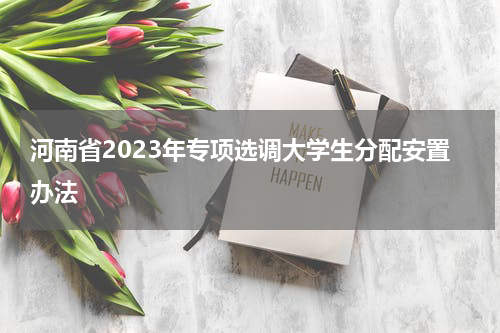 河南省2023年专项选调大学生分配安置办法