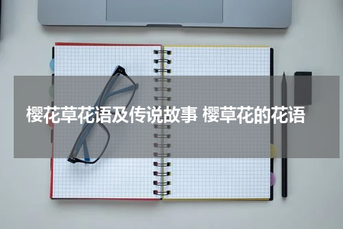 樱花草花语及传说故事 樱草花的花语