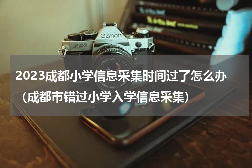 2023成都小学信息采集时间过了怎么办（成都市错过小学入学信息采集）