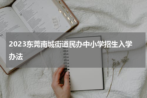 2023东莞南城街道民办中小学招生入学办法