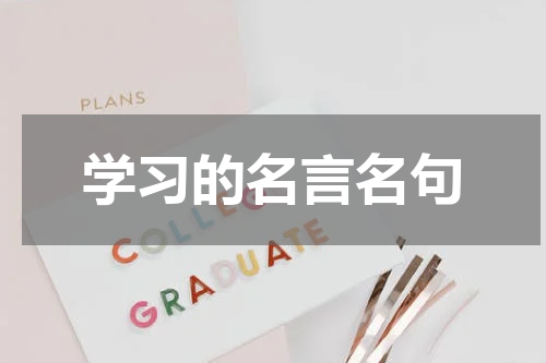 学习的名言名句