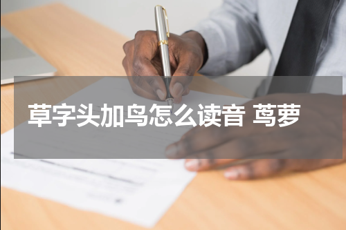 草字头加鸟怎么读音 茑萝