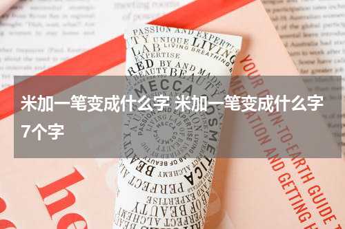 米加一笔变成什么字 米加一笔变成什么字7个字