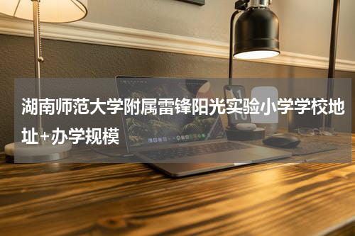 湖南师范大学附属雷锋阳光实验小学学校地址+办学规模