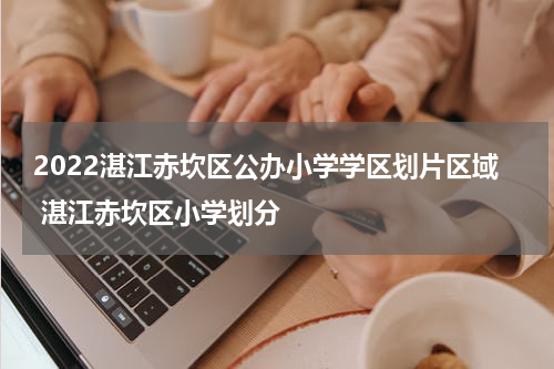 2022湛江赤坎区公办小学学区划片区域 湛江赤坎区小学划分