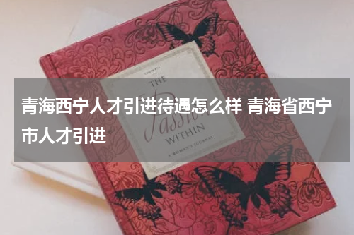 青海西宁人才引进待遇怎么样 青海省西宁市人才引进