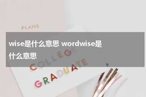 wise是什么意思 wordwise是什么意思