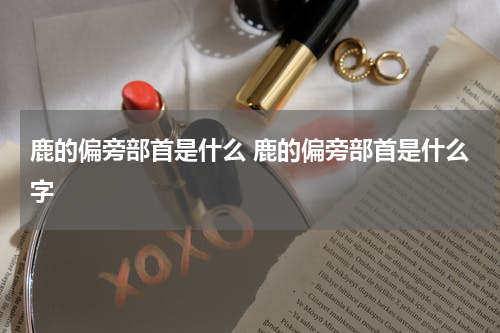 鹿的偏旁部首是什么 鹿的偏旁部首是什么字