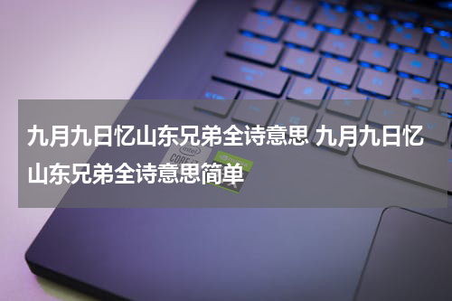 九月九日忆山东兄弟全诗意思 九月九日忆山东兄弟全诗意思简单
