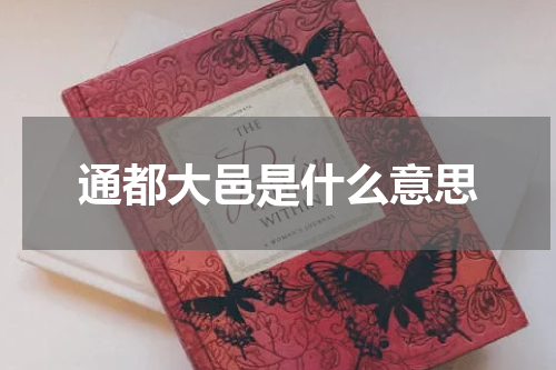 通都大邑是什么意思