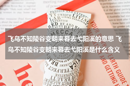 飞鸟不知陵谷变朝来暮去弋阳溪的意思 飞鸟不知陵谷变朝来暮去弋阳溪是什么含义