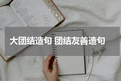 大团结造句 团结友善造句