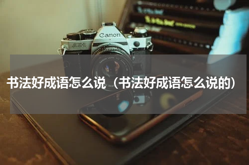 书法好成语怎么说（书法好成语怎么说的）