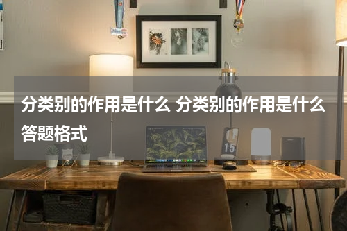 分类别的作用是什么 分类别的作用是什么答题格式