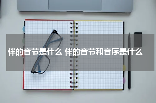 伴的音节是什么 伴的音节和音序是什么