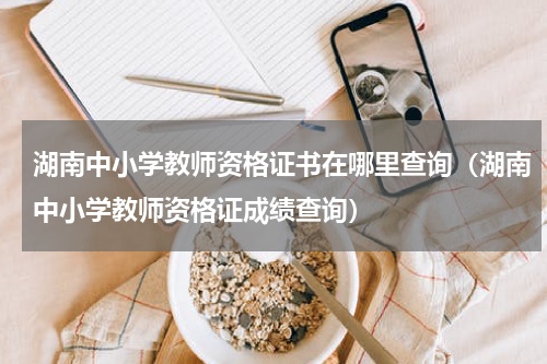 湖南中小学教师资格证书在哪里查询（湖南中小学教师资格证成绩查询）