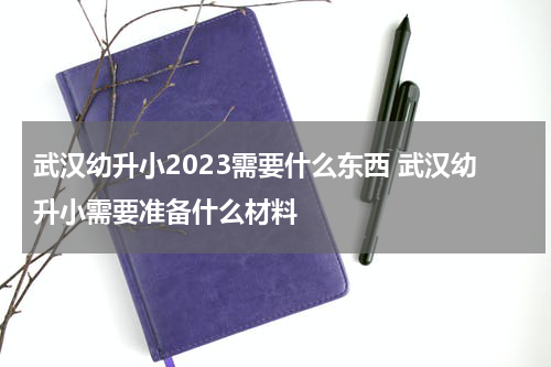 武汉幼升小2023需要什么东西 武汉幼升小需要准备什么材料
