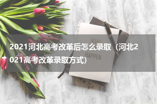 2021河北高考改革后怎么录取（河北2021高考改革录取方式）
