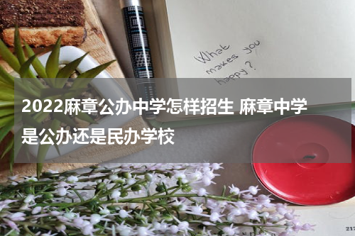 2022麻章公办中学怎样招生 麻章中学是公办还是民办学校