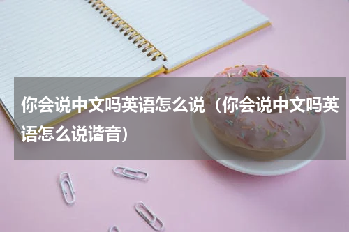 你会说中文吗英语怎么说（你会说中文吗英语怎么说谐音）