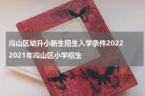 霞山区幼升小新生招生入学条件2022 2021年霞山区小学招生